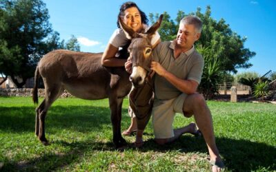 Hotel Rural Sant Blai