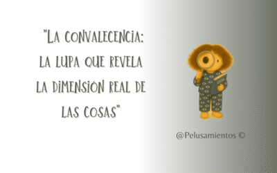 100.  «La convalecencia: la lupa que revela la dimensión real de las cosas»